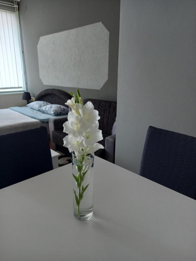 Apartmani Lazaro Višegrad エクステリア 写真